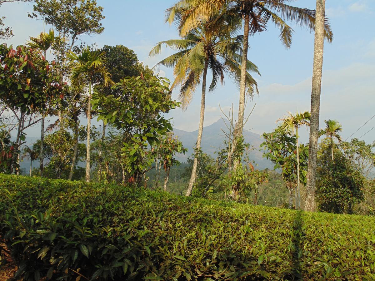 Tranquil Valley Resort 蒙纳 外观 照片